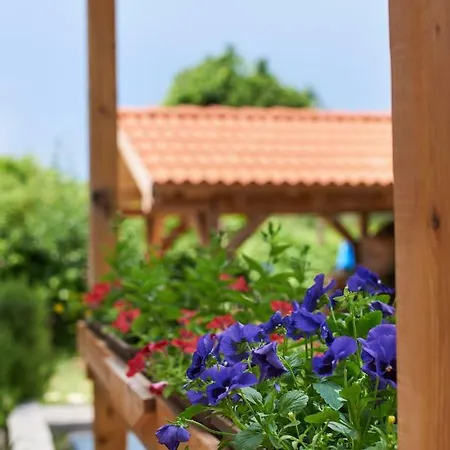 Lilly Appartement Split